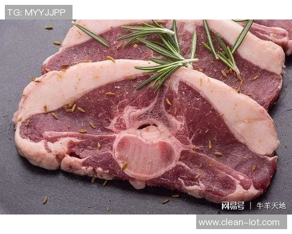 萨汉姆与玛巴特精彩对决直播全程回顾与分析